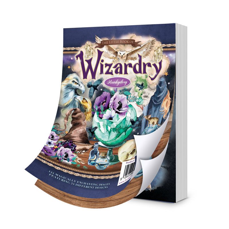 The Little Book Of Wizardry-1