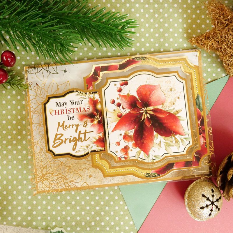 Poinsettia Sparkle Luxury Foiled Acetate-2