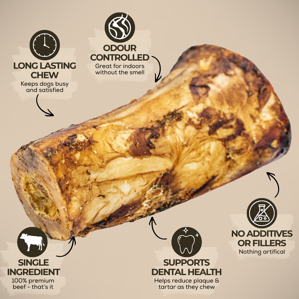 5-6 Inch Marrow Bone-3
