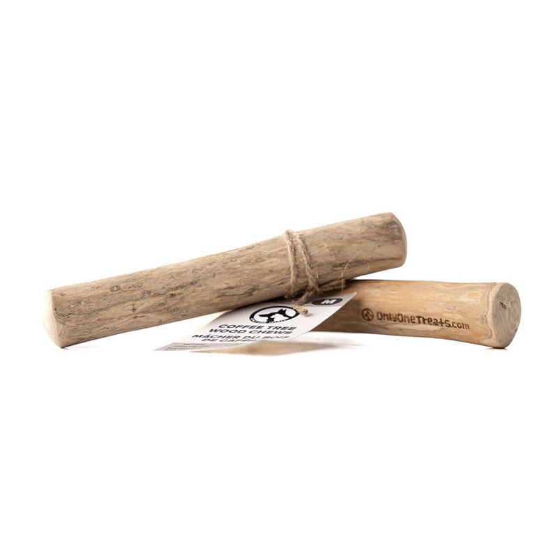 Medium Coffee Wood Chew-2