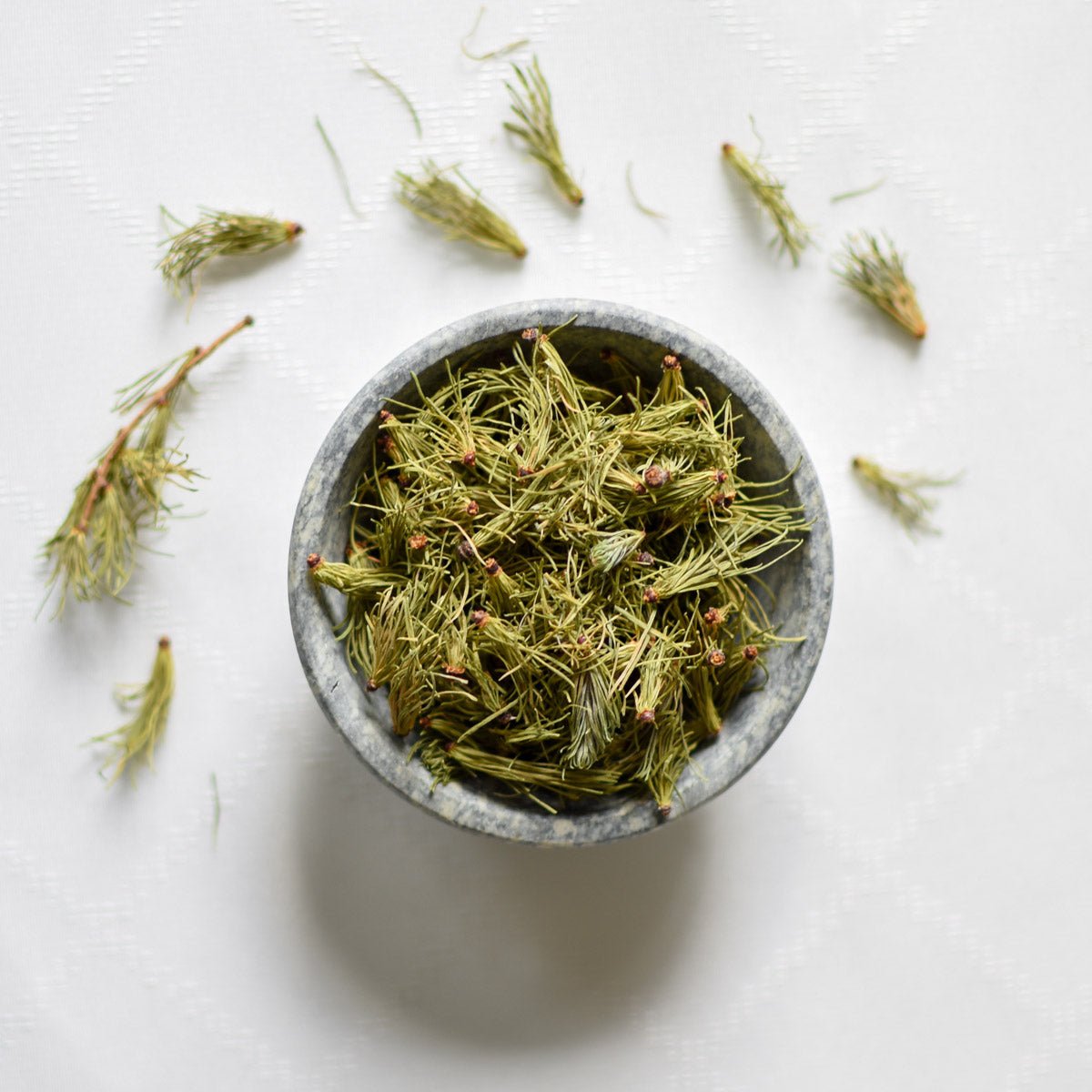 Tamarack | Dried Whole Needles (Larix laricina)-3