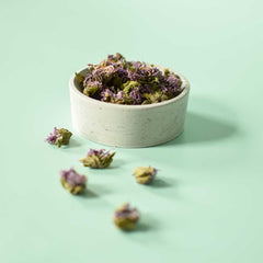 Wild Bergamot | Dried Whole Flower (Monarda fistulosa)-5