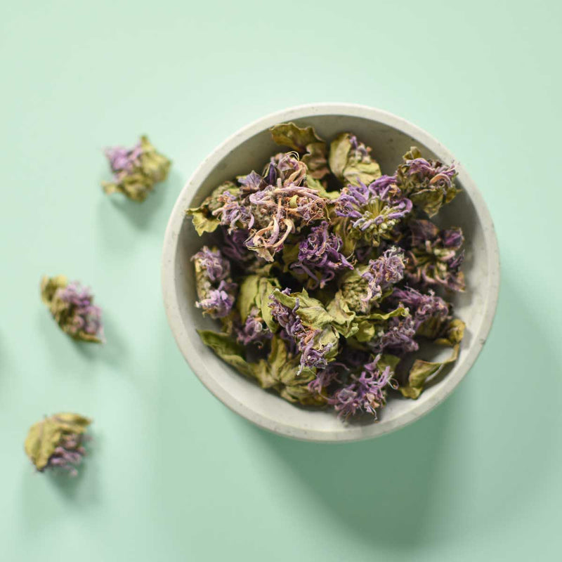 Wild Bergamot | Dried Whole Flower (Monarda fistulosa)-4