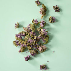 Wild Bergamot | Dried Whole Flower (Monarda fistulosa)-1