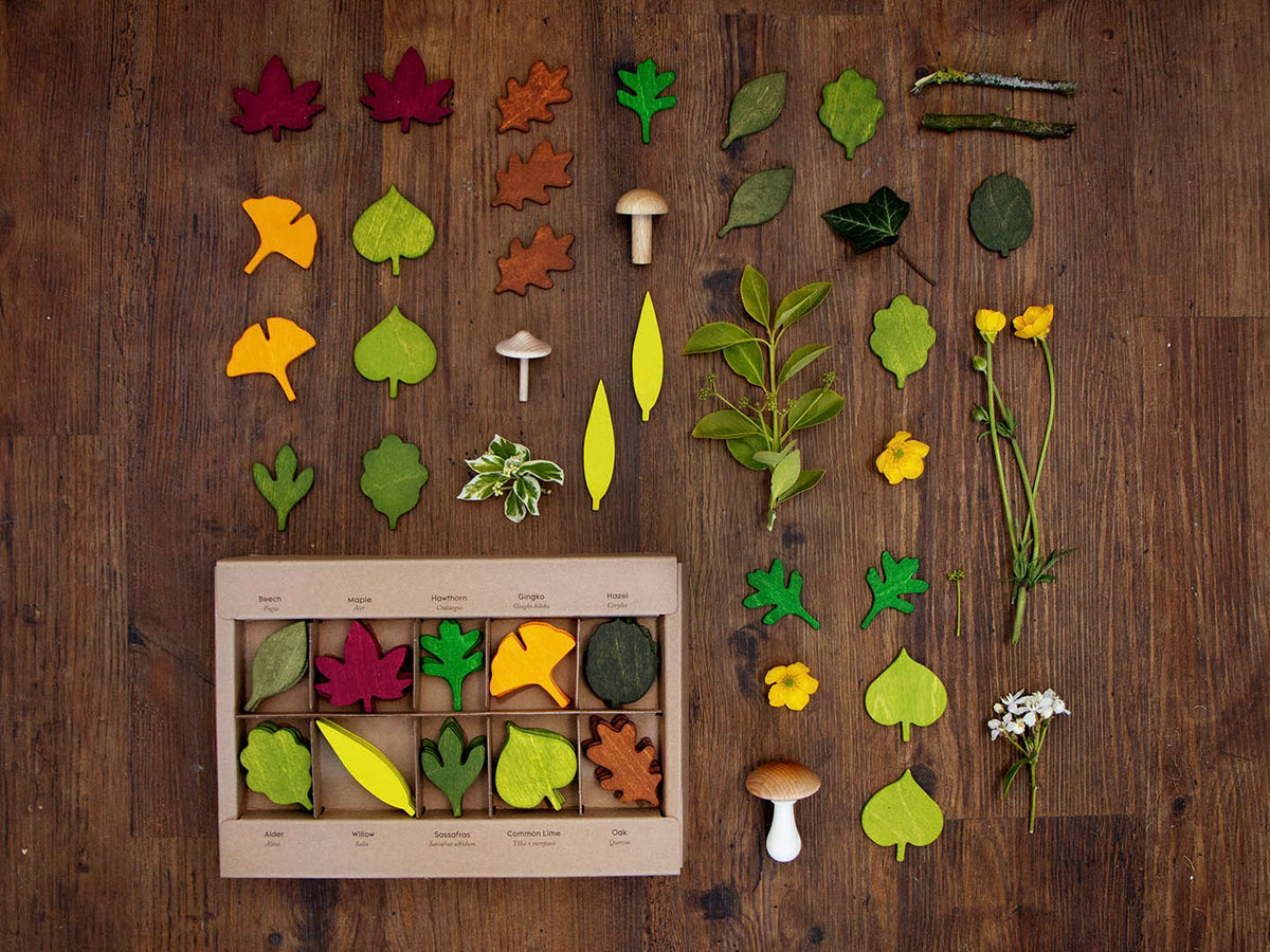 Woodland Leaves-2