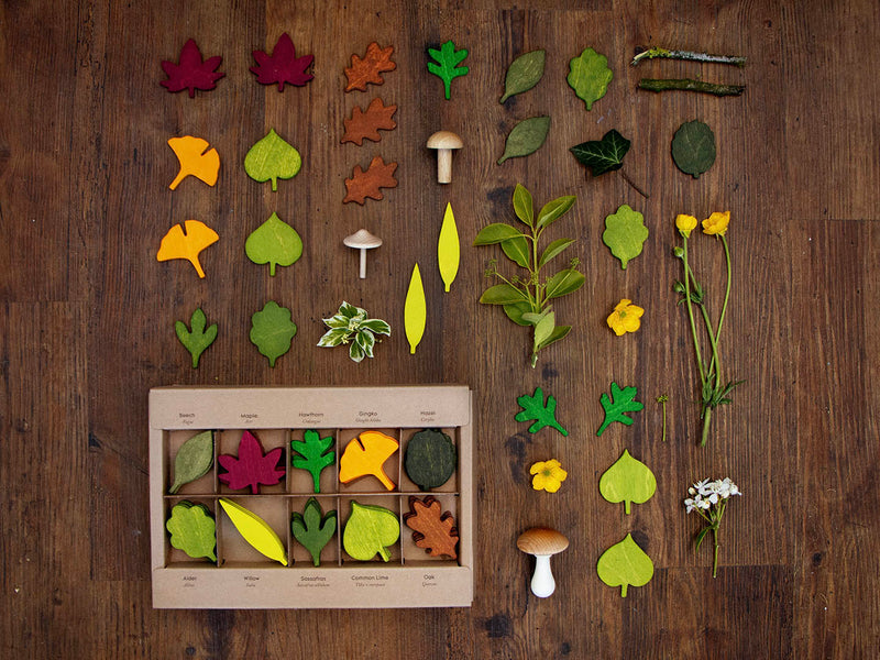 Woodland Leaves-2