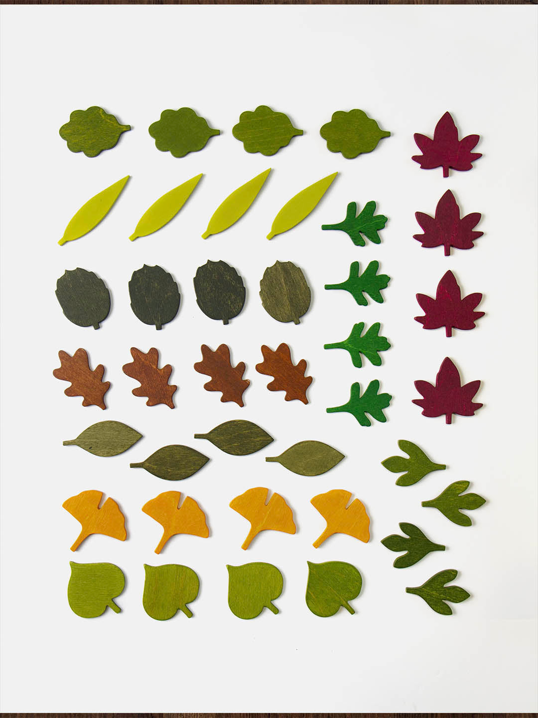 Woodland Leaves-4