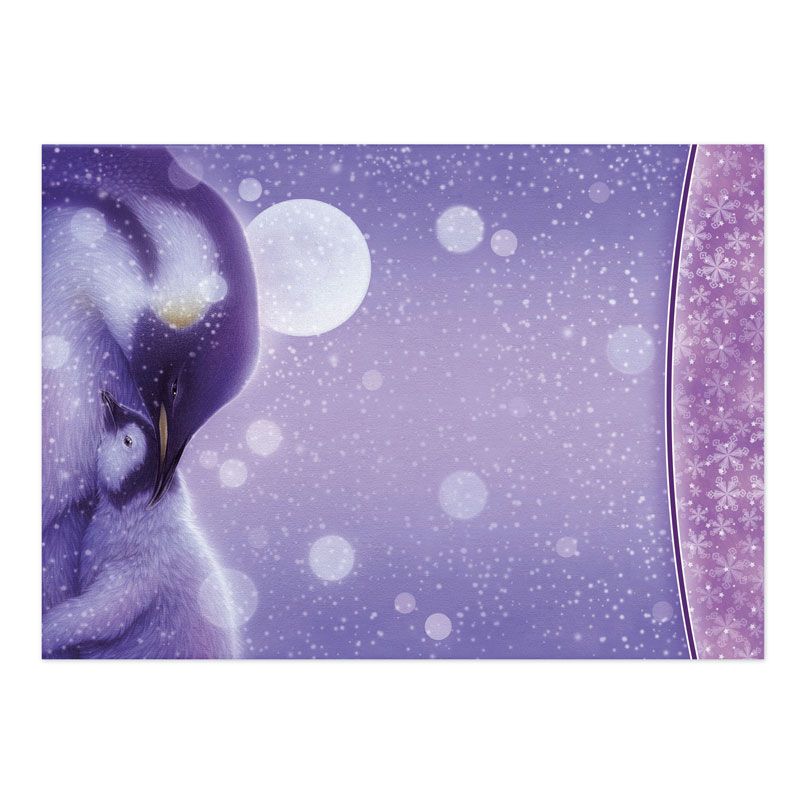 Wild Winter Luxury Topper Set-4
