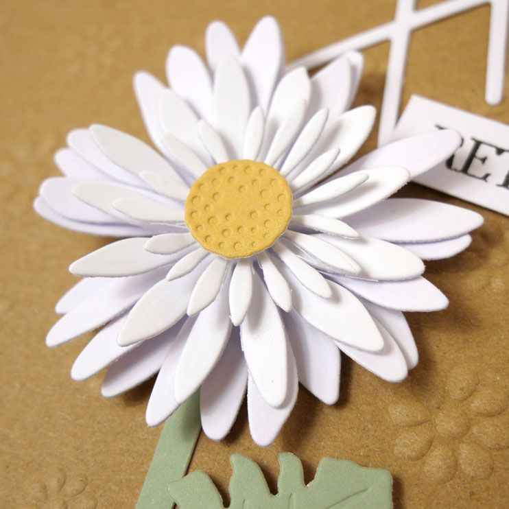 Moonstone Dies - Dimensional Flowers - Gerbera-4
