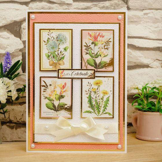 Moonstone Embossing Folders - Forever Daisies-3