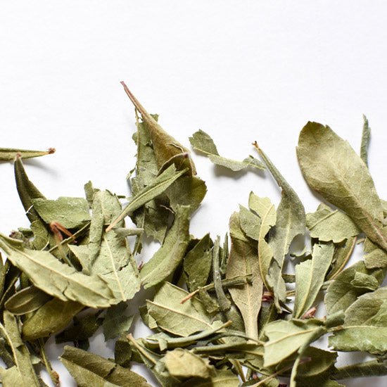 Sweet Gale | Dried Whole Leaf (Myrica gale)-1