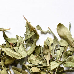 Sweet Gale | Dried Whole Leaf (Myrica gale)-1