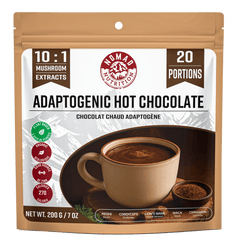 Adaptogenic Hot Chocolate-1
