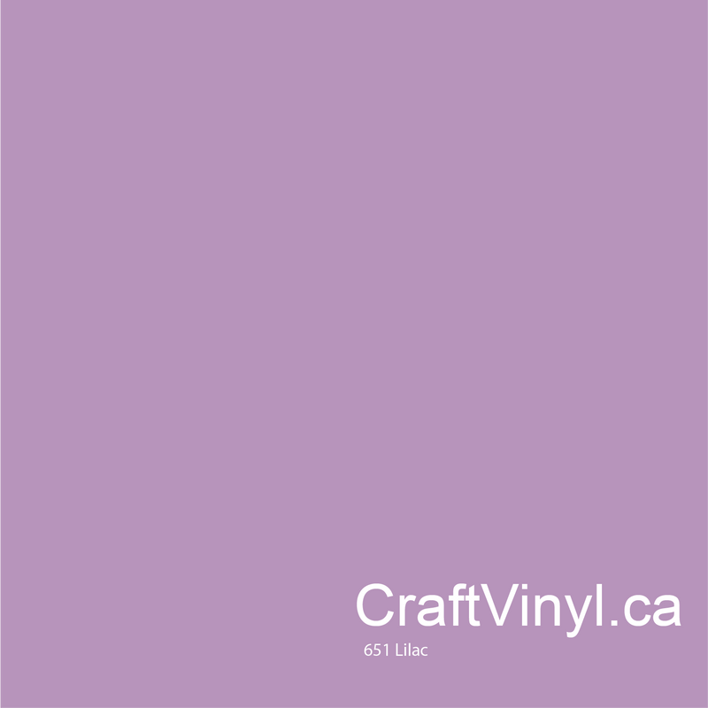 Oracal 651 Glossy Lilac #042 sheets and rolls-2