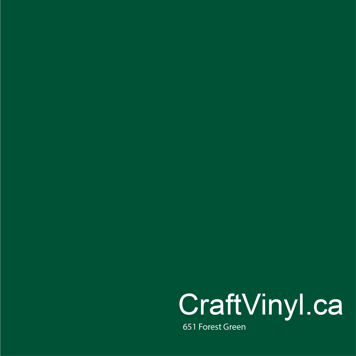 Oracal 651 Glossy Forest Green Vinyl #613 sheets and rolls-2