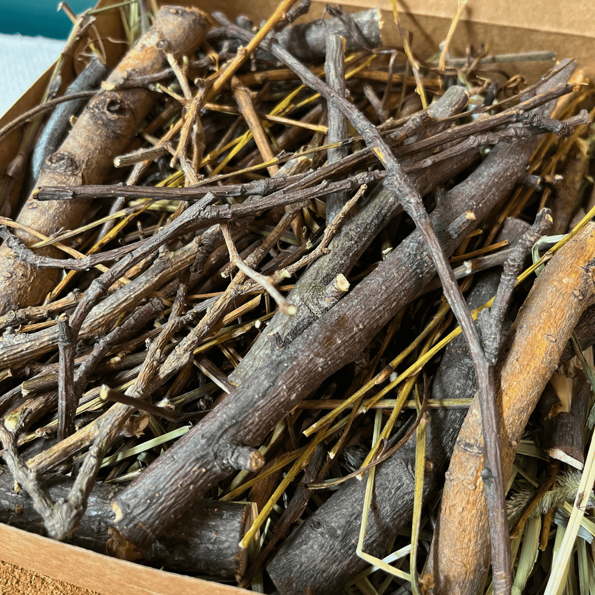 Bunny Chew Box: Apple, Kiwi, Currant & Gooseberry-6