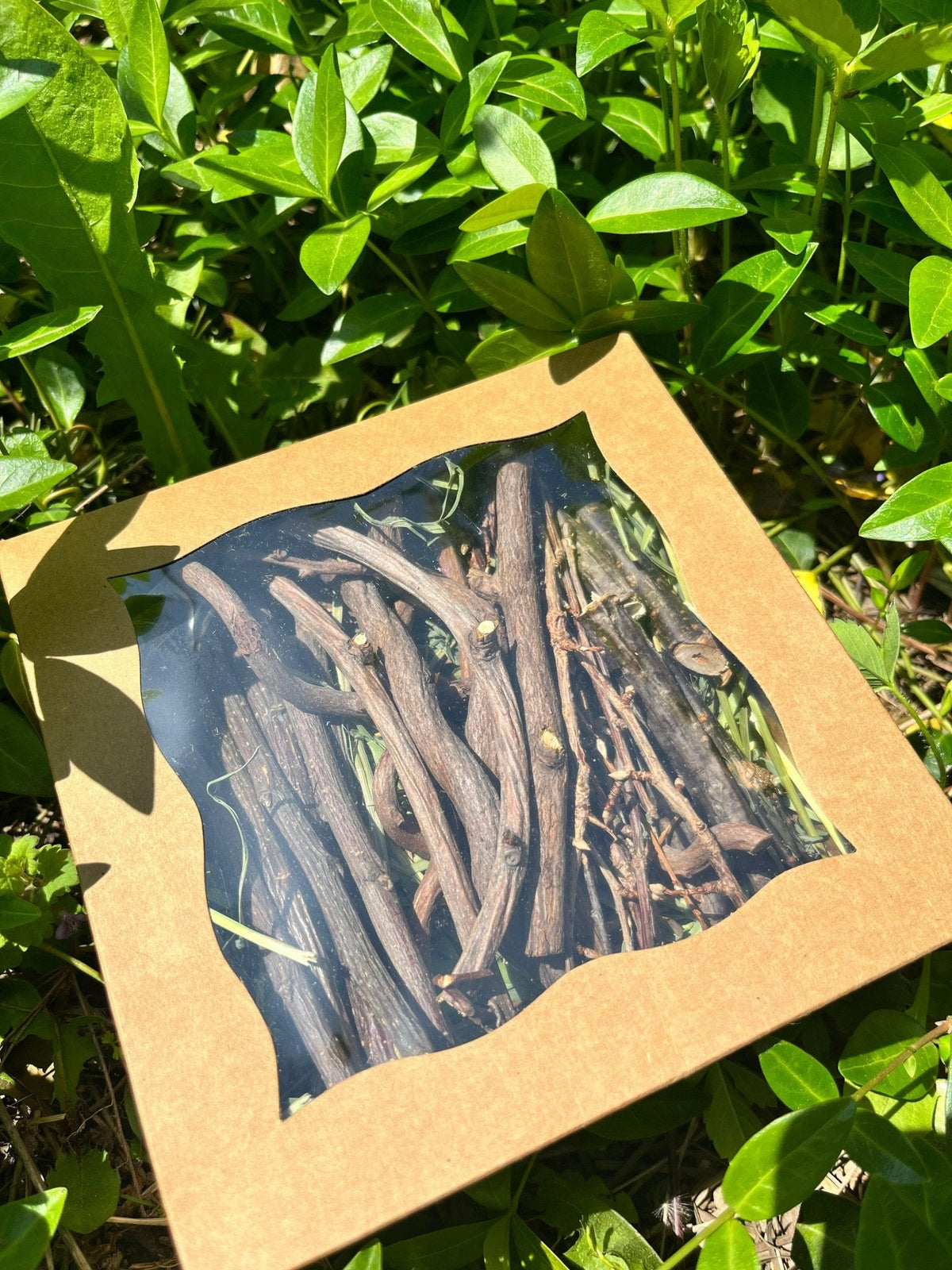 Bunny Chew Box: Apple, Kiwi, Currant & Gooseberry-3