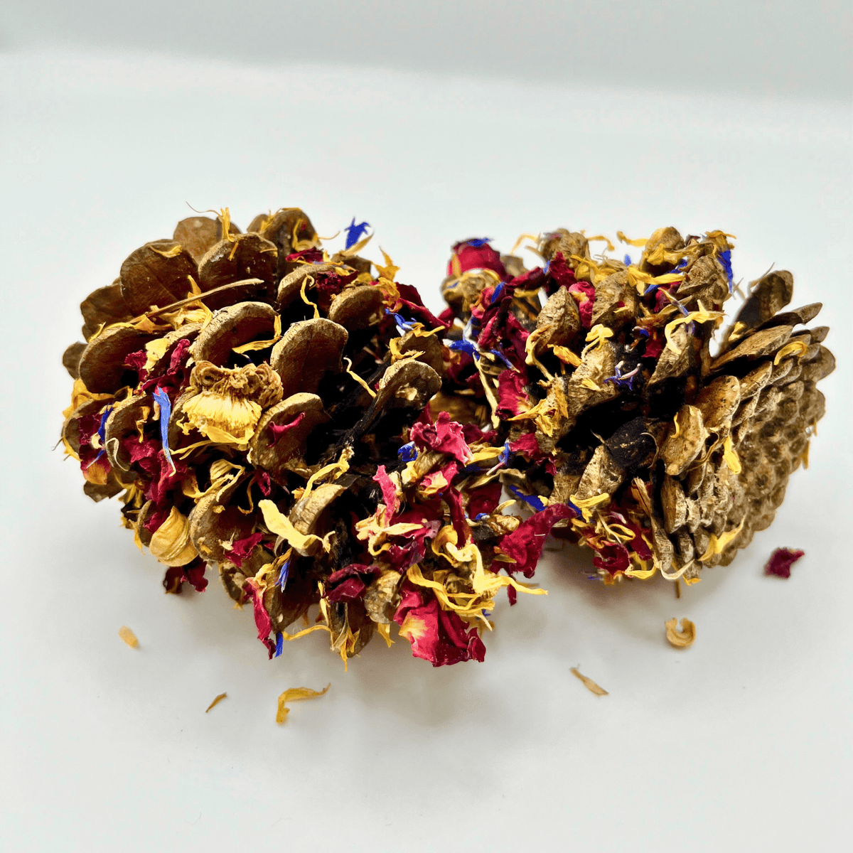 Floral-Dipped Pine Cones-1