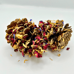Floral-Dipped Pine Cones-1