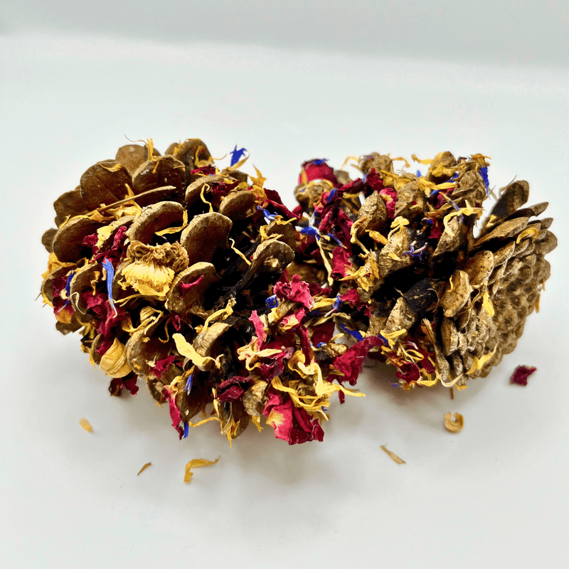 Floral-Dipped Pine Cones-1