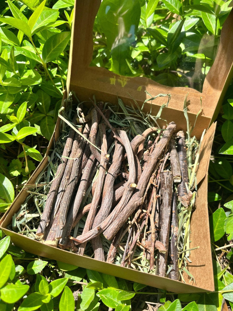 Bunny Chew Box: Apple, Kiwi, Currant & Gooseberry-7
