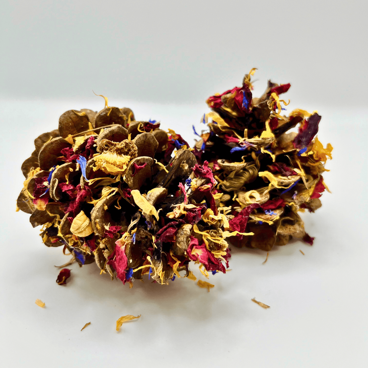 Floral-Dipped Pine Cones-2