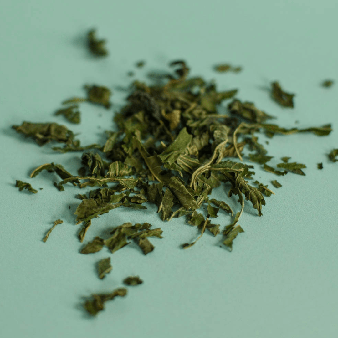 Stinging Nettle | Dried Whole Leaf (Urtica dioica)
