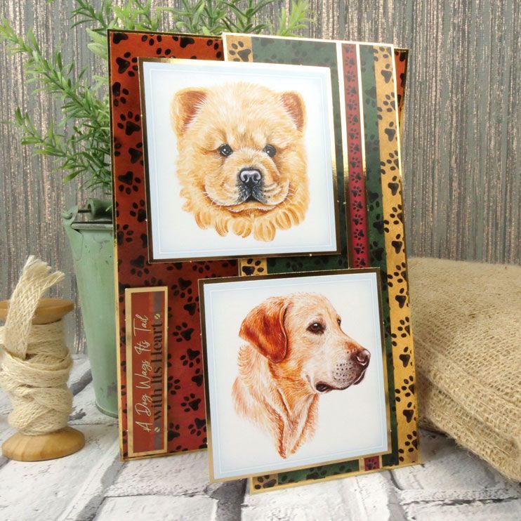 Pawsome Portraits Luxury Card Toppers-7