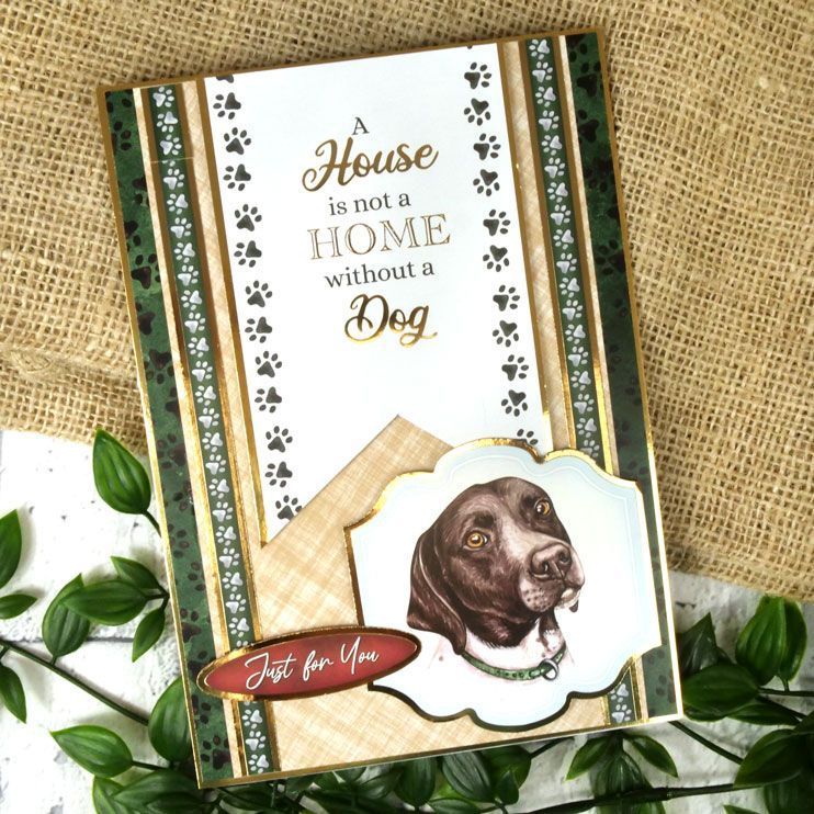 Pawty Time Card Topper Sheet-3