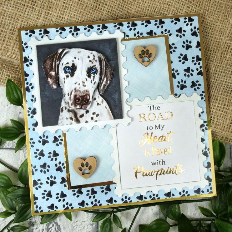 Pawsome Portraits Luxury Foiled Card Inserts-3