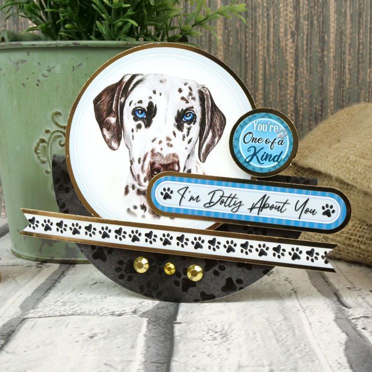 Pawsome Portraits Luxury Card Toppers-4