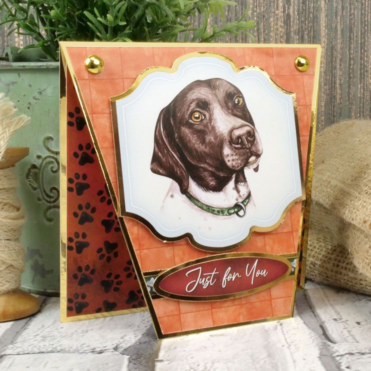 Pawty Time Card Topper Sheet-2