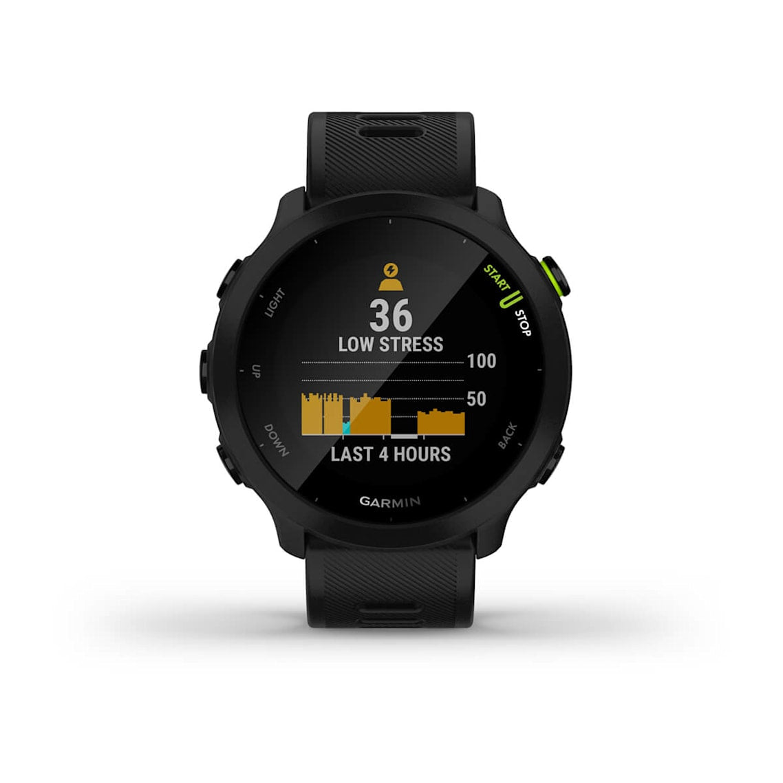 Forerunner 55 Running Watch-4