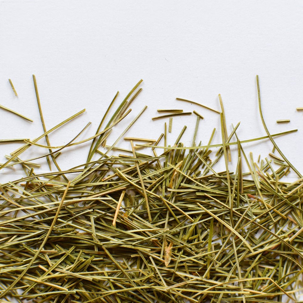 Eastern White Pine | Dried Whole Needle (Pinus strobus)