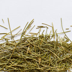 Eastern White Pine | Dried Whole Needle (Pinus strobus)-1