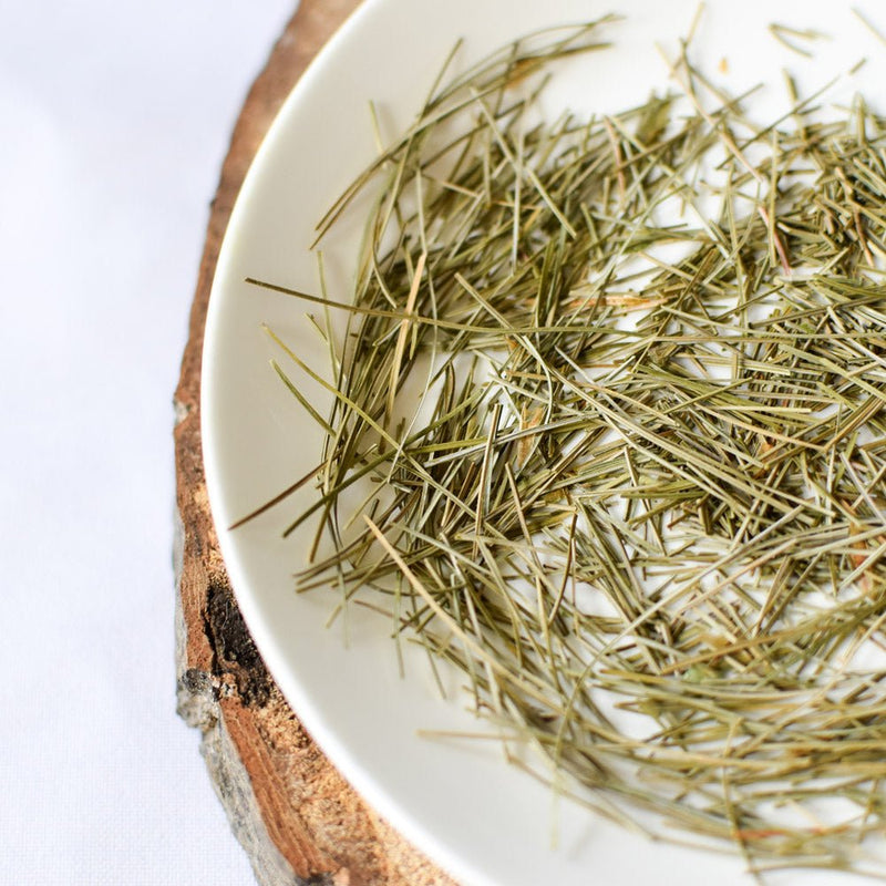 Eastern White Pine | Dried Whole Needle (Pinus strobus)-2