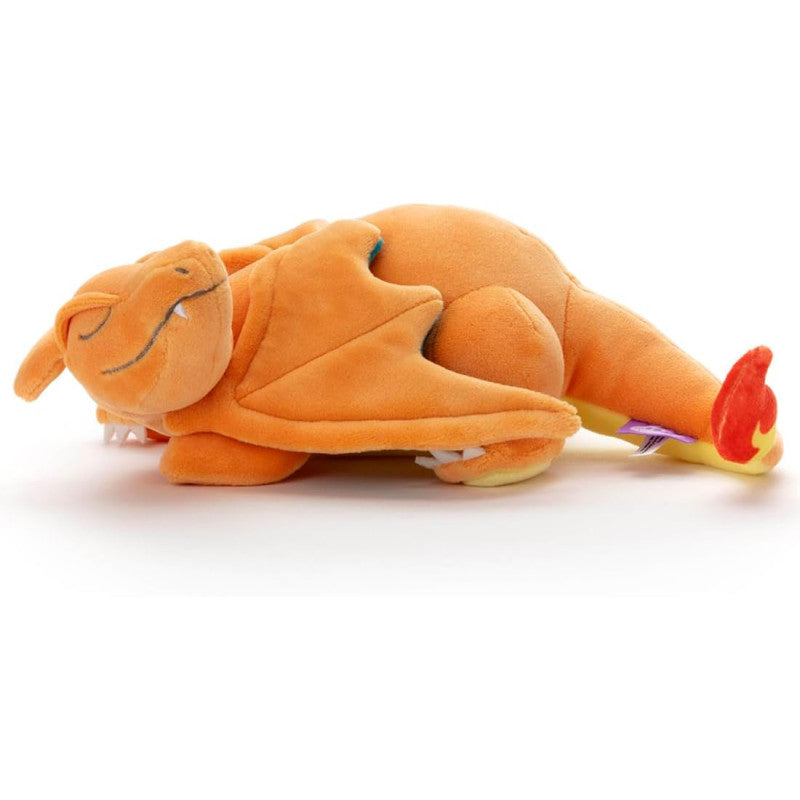 Charizard (Sleeping)-4