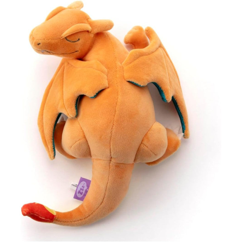 Charizard (Sleeping)-2