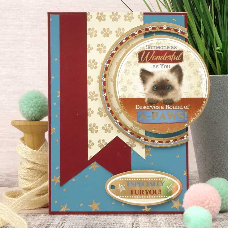 From Meow To You Adorable Scorable Selection-2