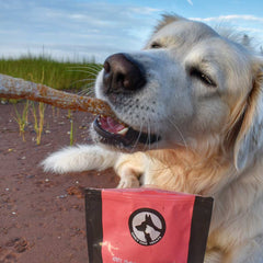 Salmon Skin Strips 85g-4