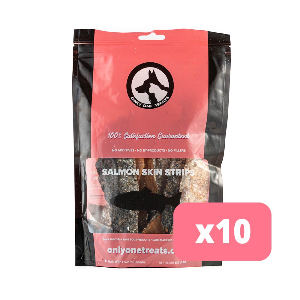 Salmon Skin Strips 85g - Case of 10-1
