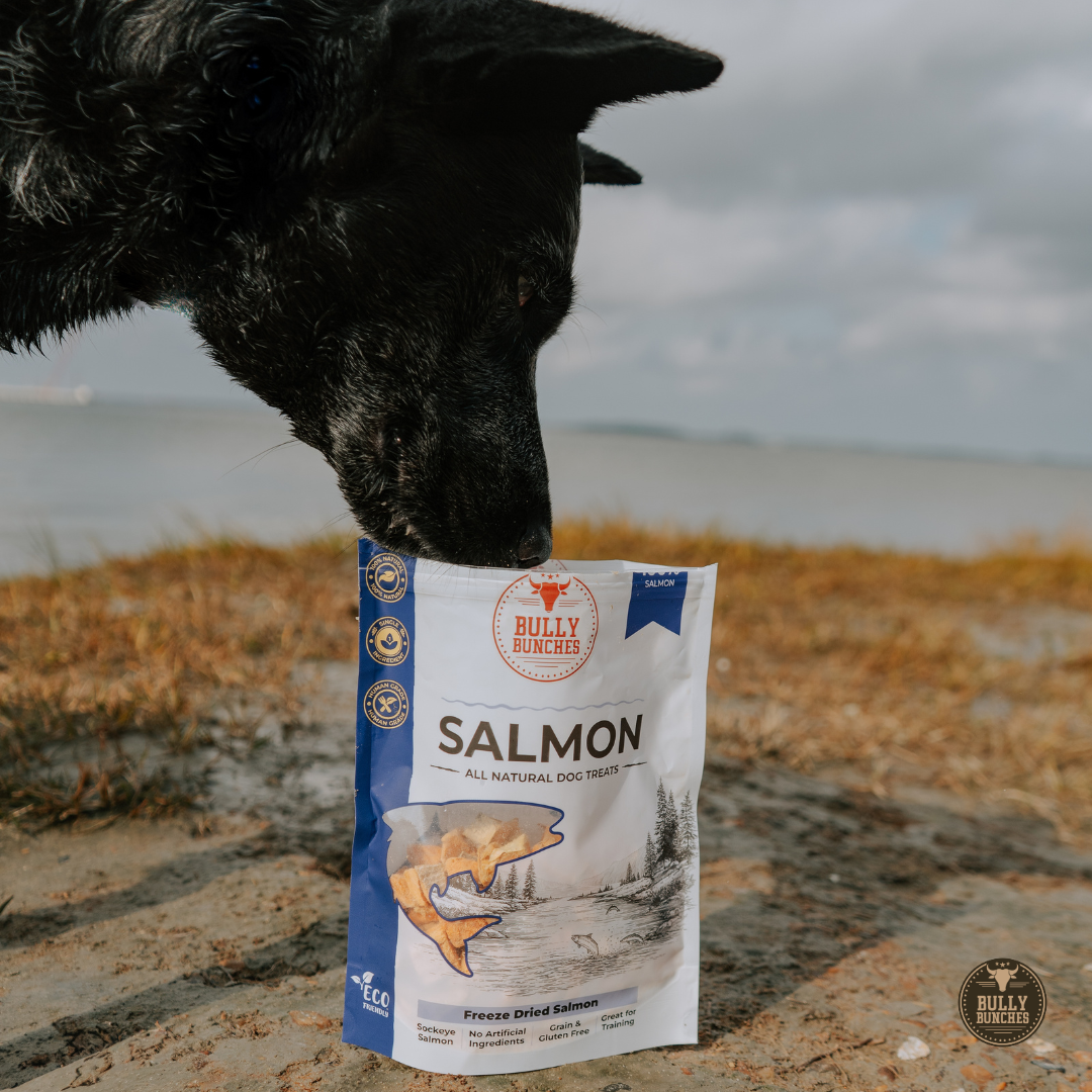 Freeze Dried Salmon 100g / 3.5oz-5