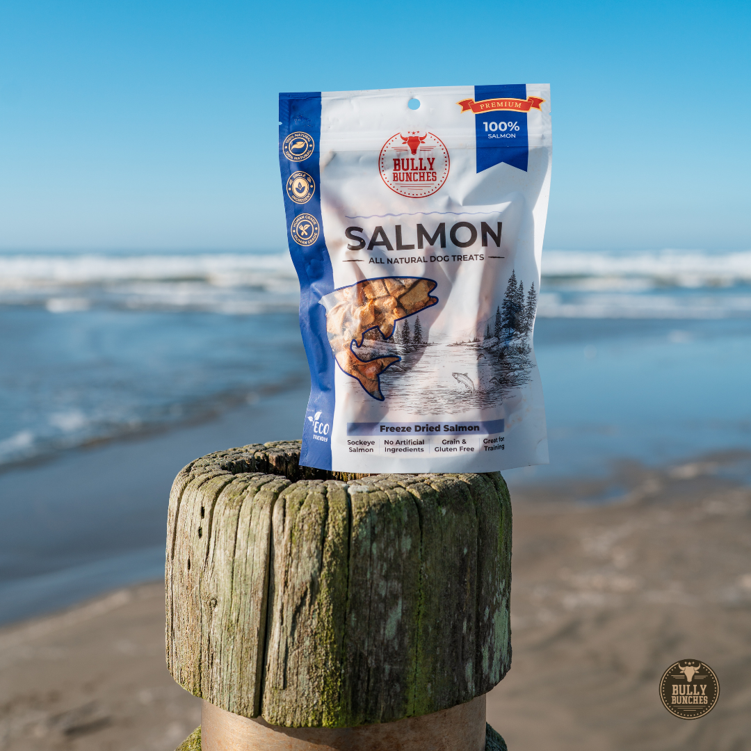 Freeze Dried Salmon 100g / 3.5oz-9