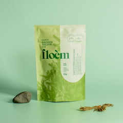 Balsam Fir | Dried Whole Tips (Abies balsamea)-1