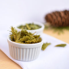 Balsam Fir | Dried Whole Tips (Abies balsamea)-3