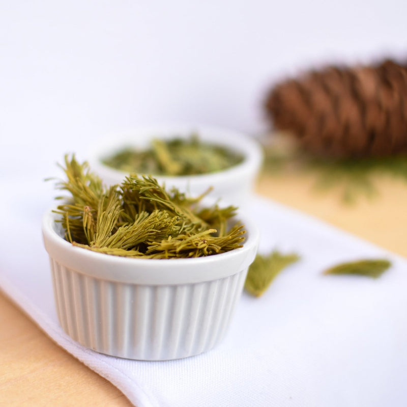 Balsam Fir | Dried Whole Tips (Abies balsamea)-3