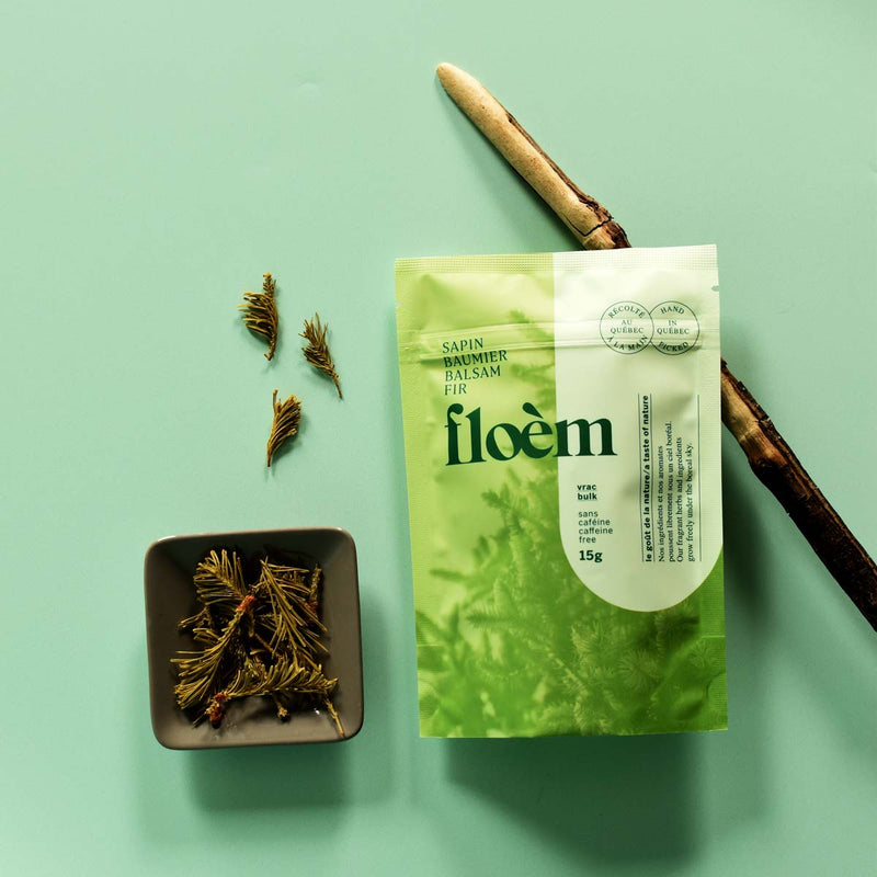Balsam Fir | Dried Whole Tips (Abies balsamea)-2