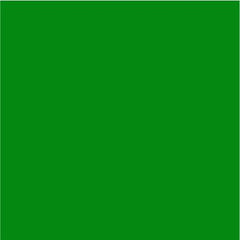 Siser Easyweed Stretch Green-1