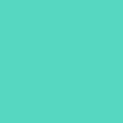 Siser Retro Mint Easyweed  12" sheets and rolls-1