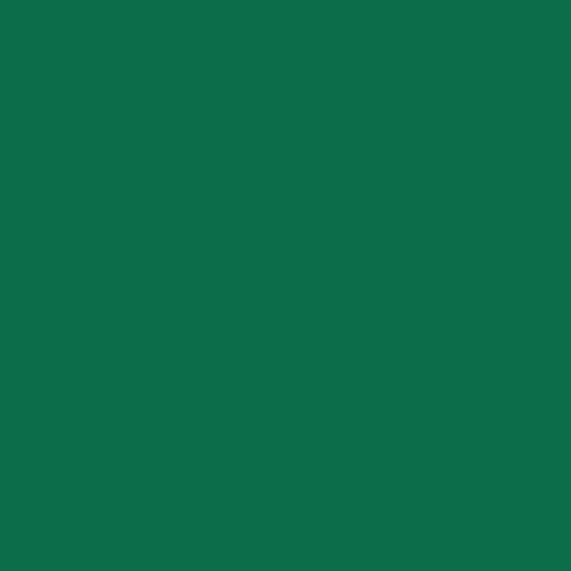 Siser Matte Green Easyweed  12"sheets  and rolls-1